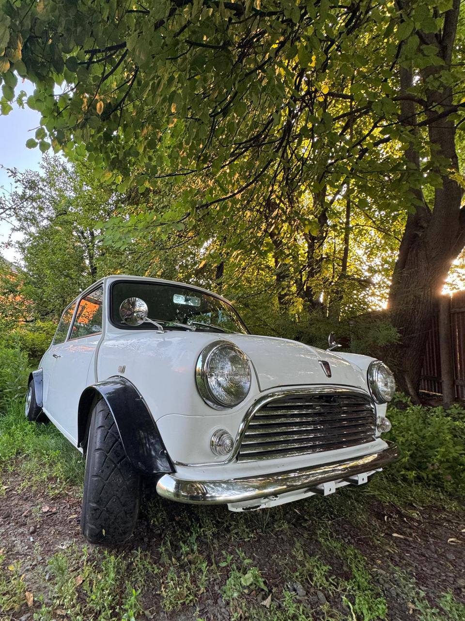 Rover Mini MK 1.0 — фото 6